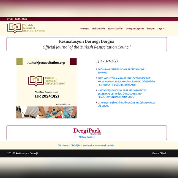 What Businesses Should Know Before Hiring a Website Designer 4 TJR resusitasyon dergisi