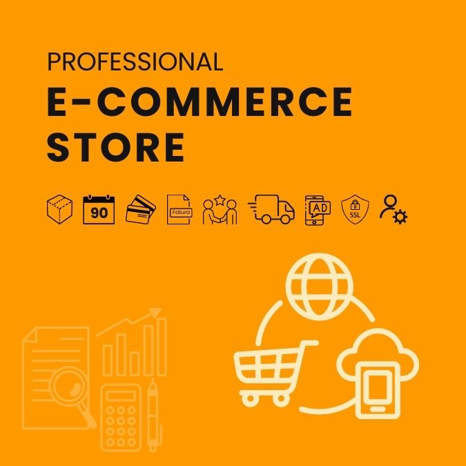 professional e-commerce store